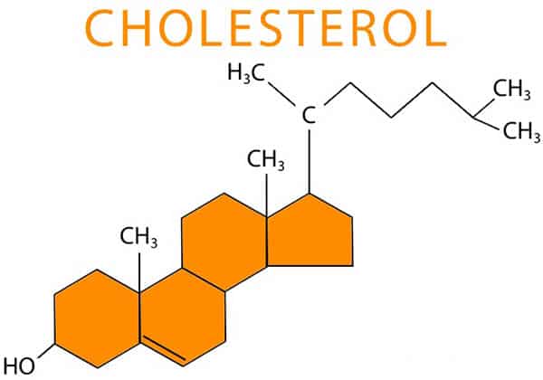 cholesterol là gì, cholesterol cao trong máu, cholesterol cao là gì, cholesterol toàn phần là gì