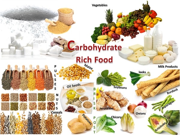 carbohydrate là chất gì, total carbohydrate là gì, total carbohydrate, carbohydrates là gì, carbohydrate là gì, Vai trò của carbohydrate trong cơ thể người, Carbohydrate có trong thực phẩm nào, Carbohydrate tiếng Việt la gì, Carbohydrate có tác dụng gì, Carbohydrate có mấy loại