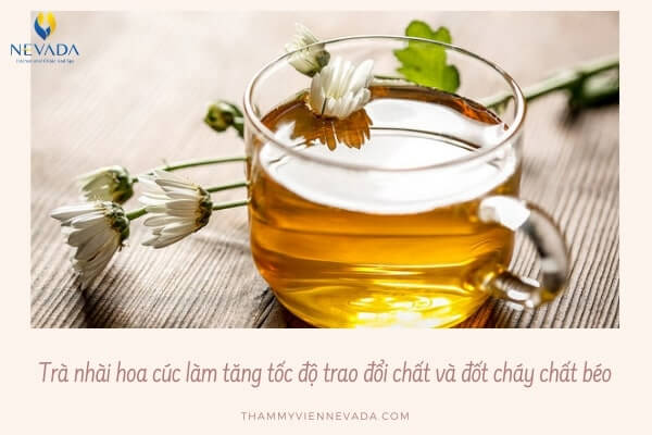 trà hoa cúc có giảm cân không, uống trà hoa cúc có giảm cân không, trà hoa cúc giảm cân, cách uống trà hoa cúc giảm cân, cách làm trà hoa cúc giảm cân, uống trà hoa cúc giảm cân, giảm cân bằng trà hoa cúc, Cách uống trà hoa cúc để giảm cân