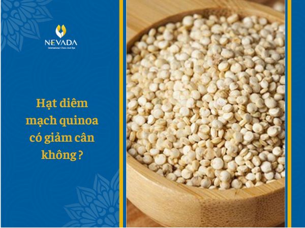  Hạt diêm mạch quinoa có giảm cân không? Bật mí thực đơn với hạt quinoa giảm cân hiệu quả nhất