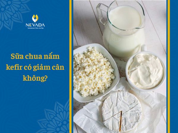  Món sữa chua nấm Kefir là gì? Có giảm cân không mà khiến Hà Tăng ‘mê mẩn’ đến thế