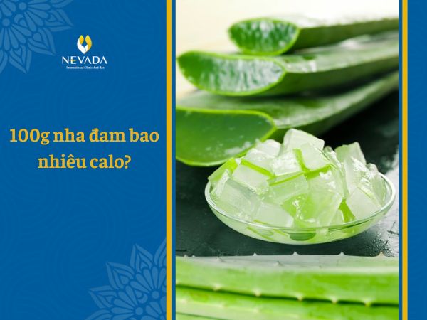 100g Nha đam bao nhiêu calo? Ăn nha đam có giảm cân không? Tiết lộ cách giảm cân bằng nha đam hiệu quả