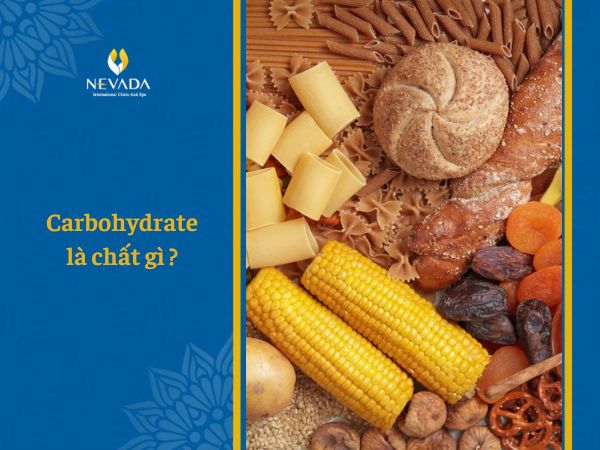  Carbohydrate là chất gì? Carbohydrate có trong thực phẩm nào?