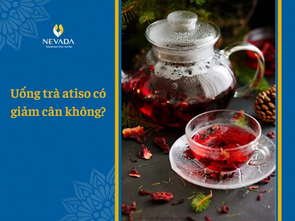  Uống trà atiso có giảm cân không? – Những điều không thể không biết về trà atiso