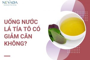 Uống nước lá tía tô có giảm cân không? Cách giảm cân bằng lá tía tô