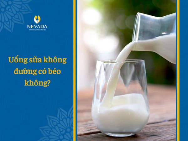  Sữa Vinamilk không đường bao nhiêu calo? Uống sữa tươi không đường có béo không? Bất ngờ  từ câu trả lời từ chuyên gia giảm béo
