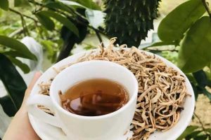 Uống trà mãng cầu có giảm cân không? Cách uống trà mãng cầu giảm cân hiệu quả