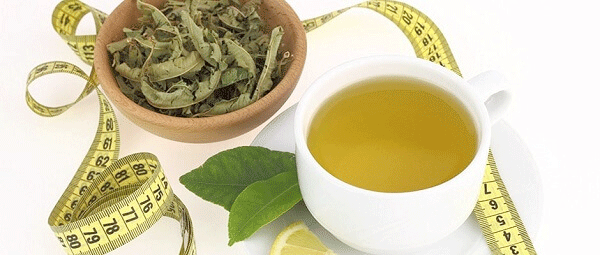 trà xanh mật ong giảm cân, uống trà xanh mật ong giảm cân, cách pha trà xanh mật ong giảm cân, cách giảm cân bằng trà xanh và mật ong, giảm cân bằng trà xanh mật ong