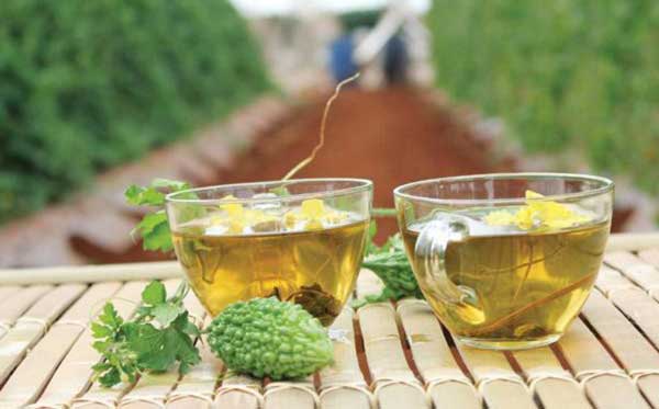 trà khổ qua giảm cân, cách làm trà khổ qua giảm cân, uống trà khổ qua có giảm cân không, trà khổ qua có giảm cân không, trà khổ qua giảm cân webtretho, uống trà khổ qua có giảm cân, uống trà khổ qua giảm cân