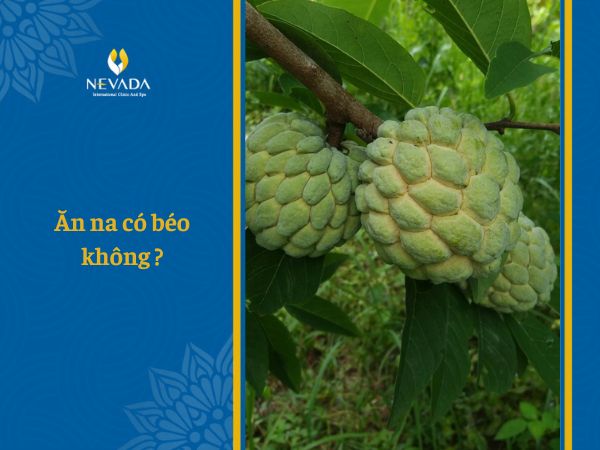 1 quả na bao nhiêu calo? Ăn quả na có béo không? Ăn na có giảm cân không? Và những điều khiến bạn bất ngờ