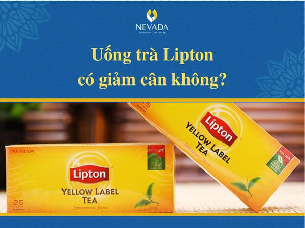 uống trà lipton có giảm cân không, Uống trà túi lọc có giảm cân không, uống trà lipton có mập không, uống trà lipton có tăng cân không, uống trà lipton có giảm cân, trà lipton bao nhiêu calo , Uống trà Lipton giảm cân, Cách giảm mỡ bụng bằng trà Lipton, Uống trà đào có giảm cân không